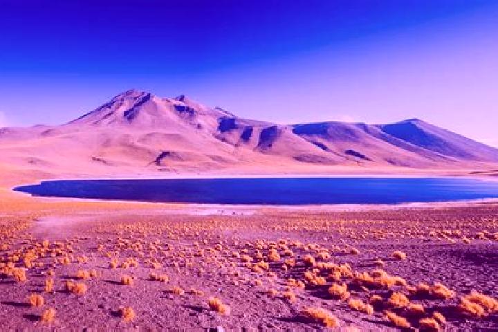 Willow, 24 — Escort in San Pedro de Atacama, Chile