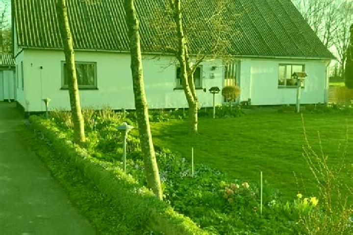 Willow, 24 — Escort in Sandved, Denmark