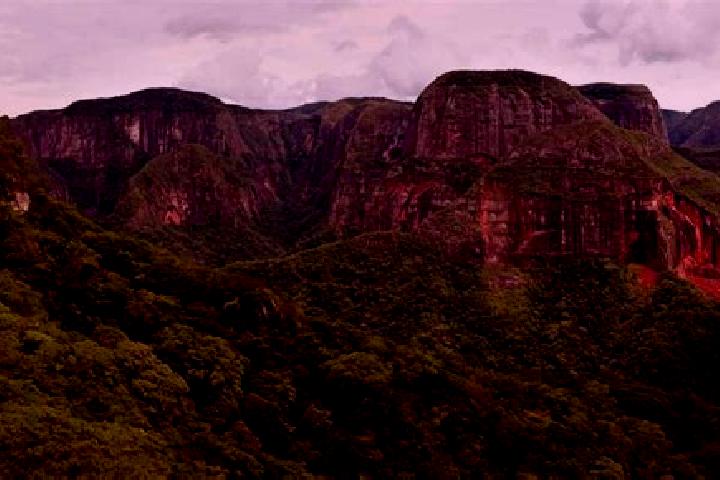 Willow, 24 — Escort in Santa Cruz Tacahua, Mexico