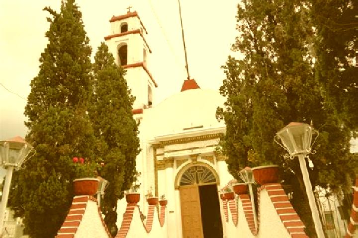Willow, 24 — Escort in Santa Maria del Refugio, Mexico