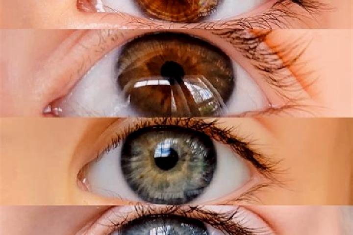 Willow, 25, a chestnut grey-eyed mixed companion based in Orrick. Offering Roleplay, GFE, Striptease, BDSM. Available for incall and outcall, overnight booki...