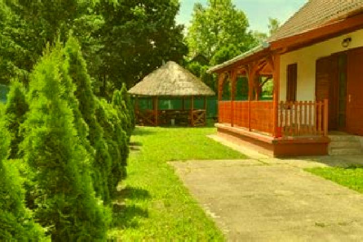 Willow, 25 — Escort in Abadszalok, Hungary