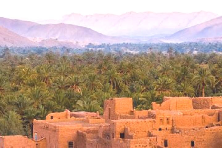 Willow, 25 — Escort in Ain Attig, Morocco