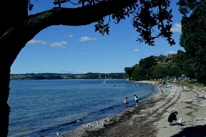 Willow, 25 — Escort in Cockle Bay, New Zealand