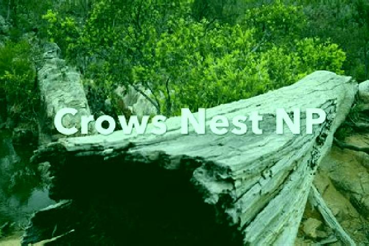 Willow, 25 — Escort in Crows Nest, Australia