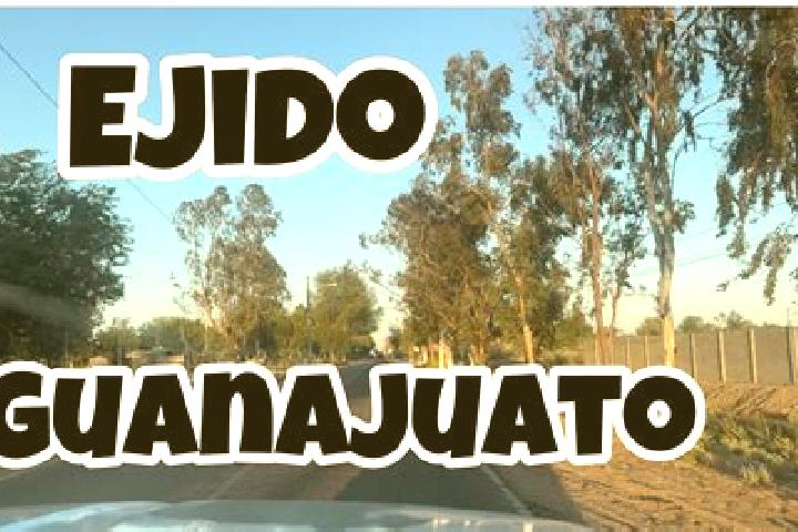 Willow, 25 — Escort in Ejido la Guayana (Rancho Seco), Mexico
