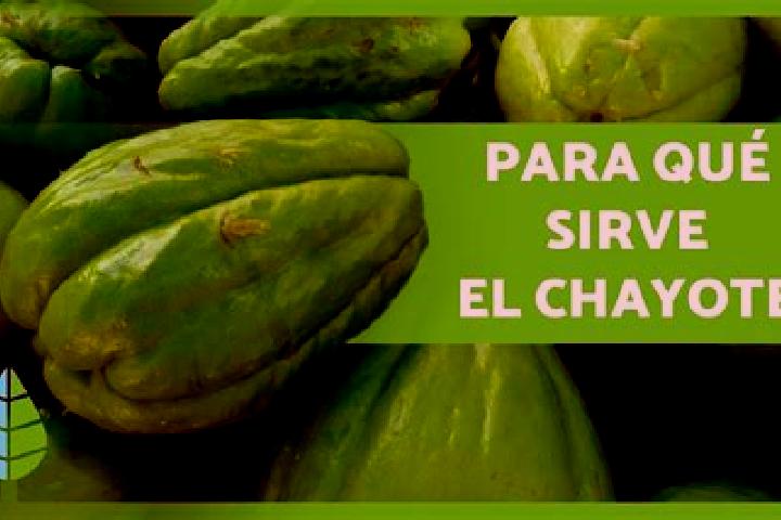 Willow, 25 — Escort in El Chote, Mexico