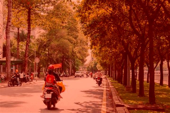 Willow, 25 — Escort in Hung Hoa, Vietnam