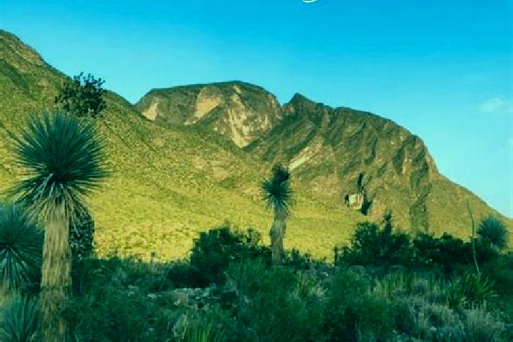 Willow, 25 — Escort in La Flor de Jimulco, Mexico