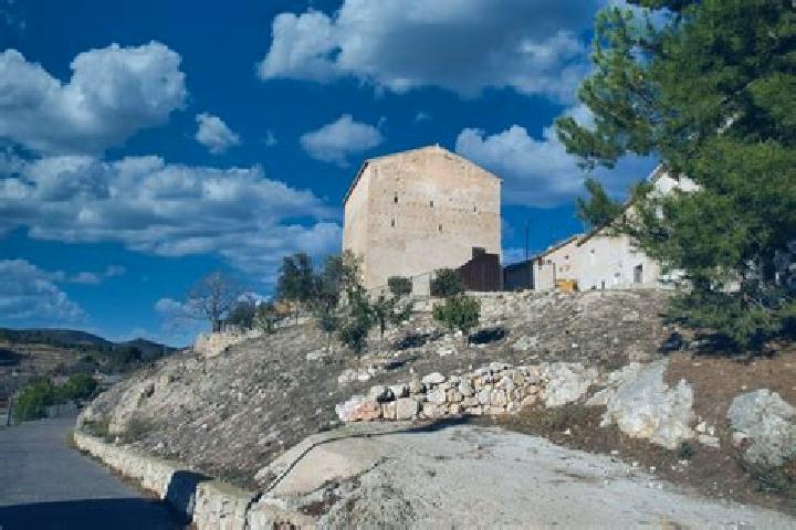 Willow, 25 — Escort in La Torre de les Macanes, Spain
