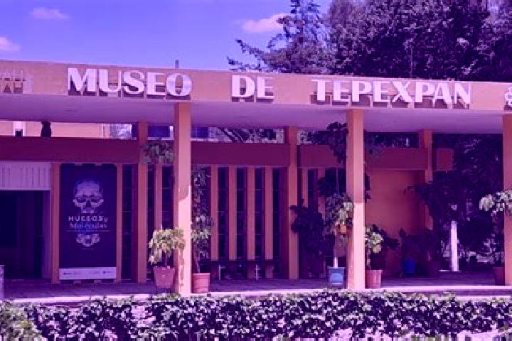 Willow, 25 — Escort in Manzana Tercera de Santa Cruz Tepexpan, Mexico