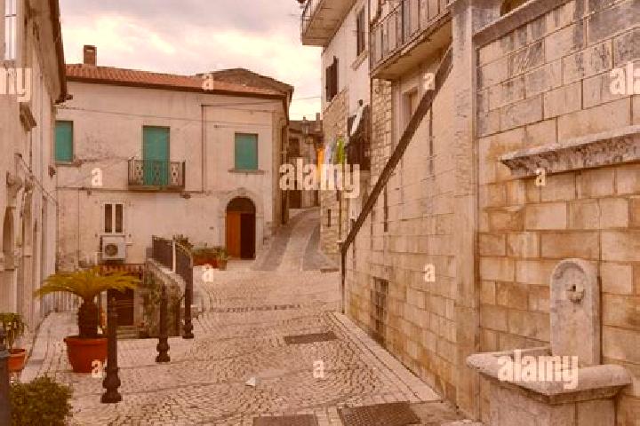 Willow, 25 — Escort in San Lupo, Italy