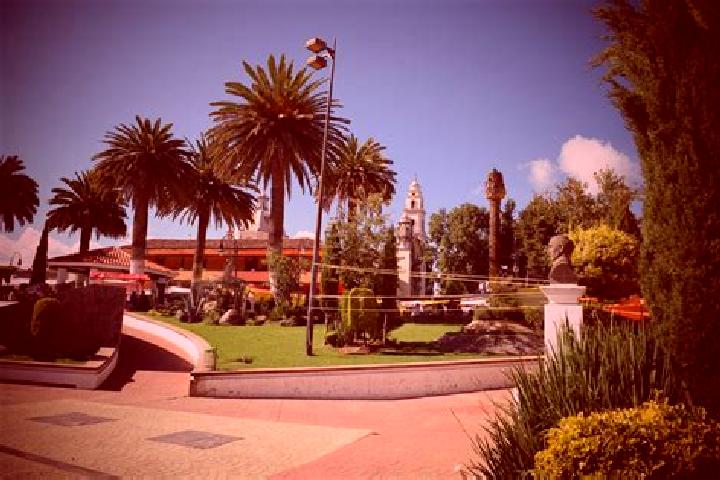 Willow, 25 — Escort in San Pedro Arriba, Mexico