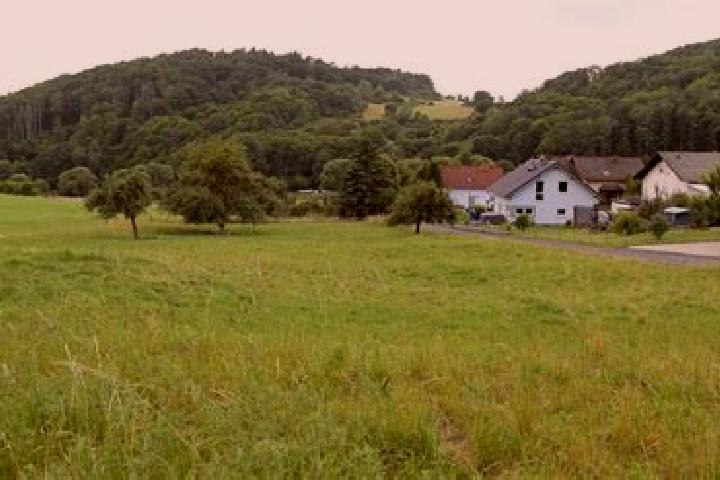 Willow, 25 — Escort in Siegbach, Germany