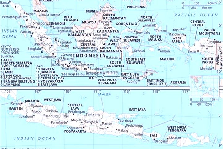 Willow, 25 — Escort in Temuji, Indonesia