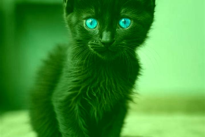 Willow, 26, a black blue-eyed mediterranean companion based in Alto del Moralito. Offering Domination, Duos, GFE. Available for incall and outcall, day and e...