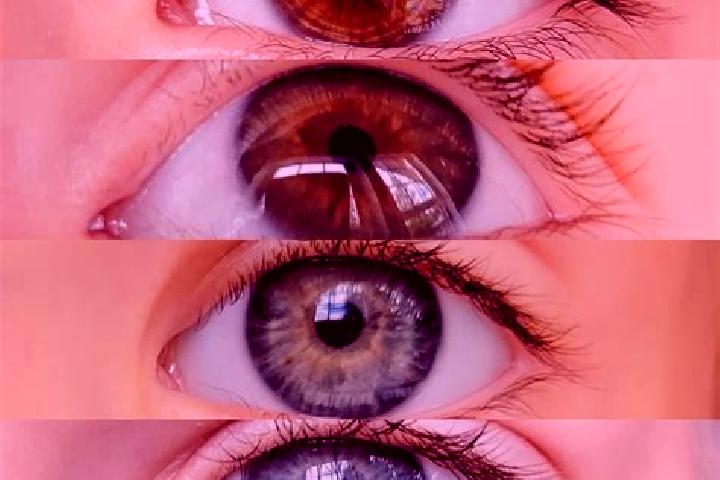 Willow, 26, a chestnut grey-eyed middle eastern companion based in Kriegsfeld. Offering Tantra, 69. Available for incall and outcall, day and evening dates.