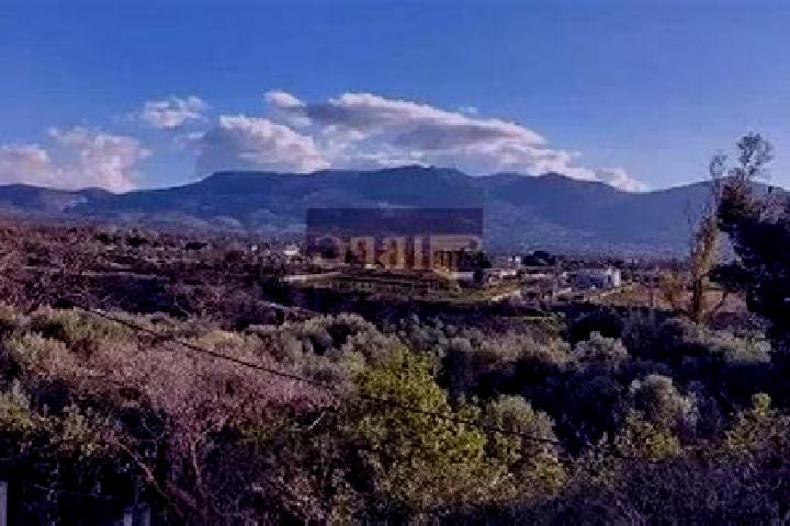 Willow, 26 — Escort in Acharnes, Greece