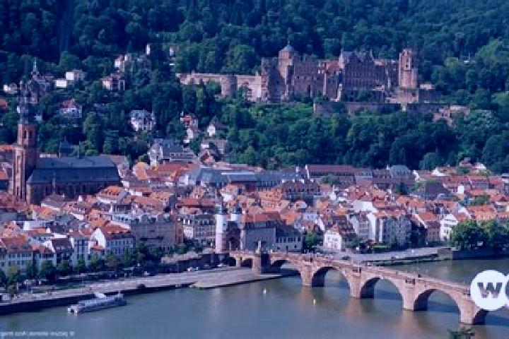 Willow, 26 — Escort in Buehl, Germany