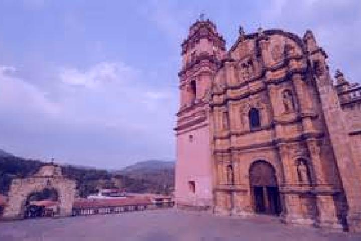 Willow, 26 — Escort in Capula, Mexico