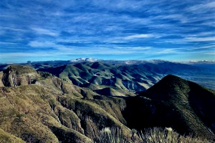Willow, 26 — Escort in Cerro Quemado, Mexico