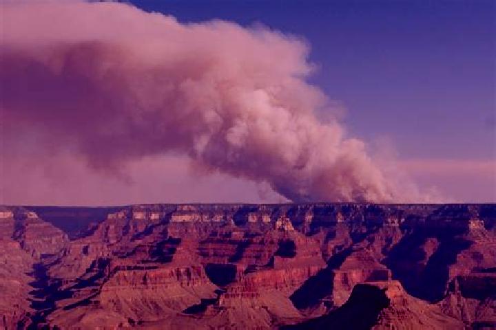 Willow, 26 — Escort in Copper Canyon, United States