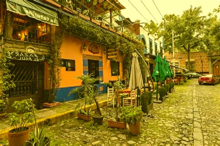 Willow, 26 — Escort in Coyoacan, Mexico