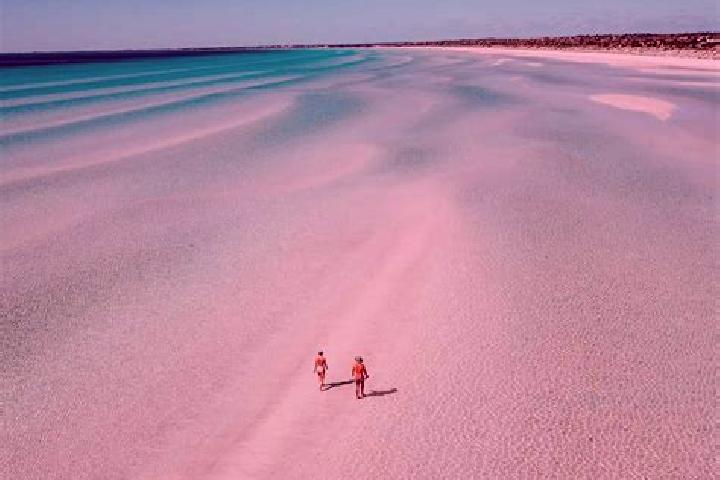 Willow, 26 — Escort in Emerald Beach, Australia