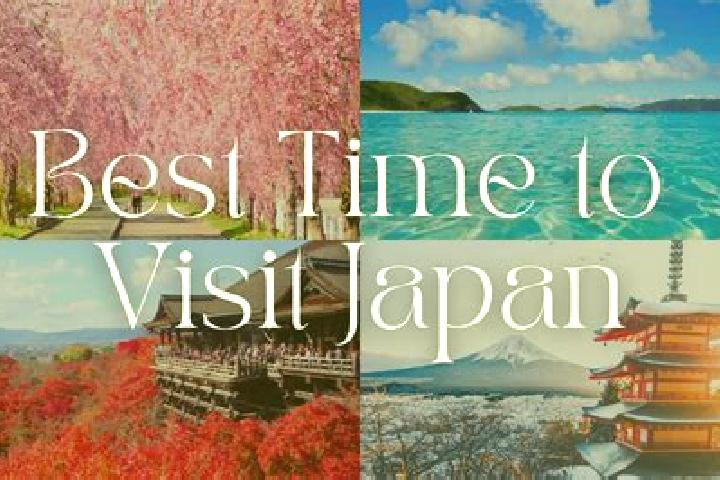 Willow, 26 — Escort in Hamanose, Japan