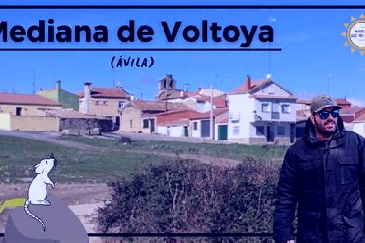Willow, 26 — Escort in Mediana de Voltoya, Spain