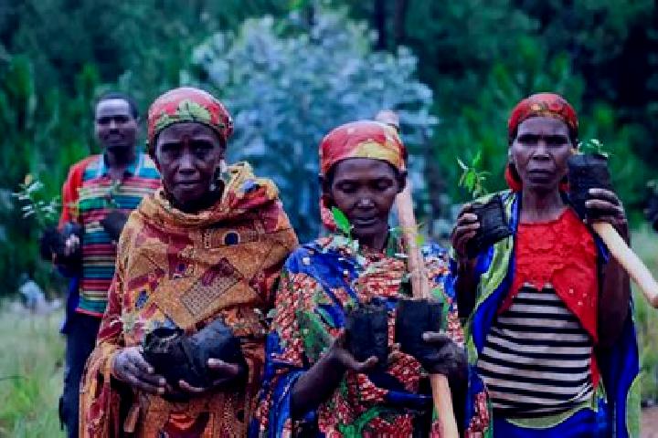 Willow, 26 — Escort in Mwaro, Burundi