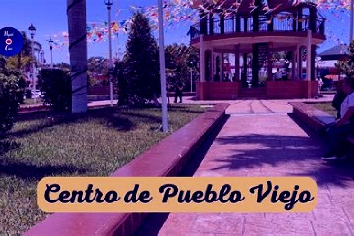 Willow, 26 — Escort in Pacho Viejo, Mexico