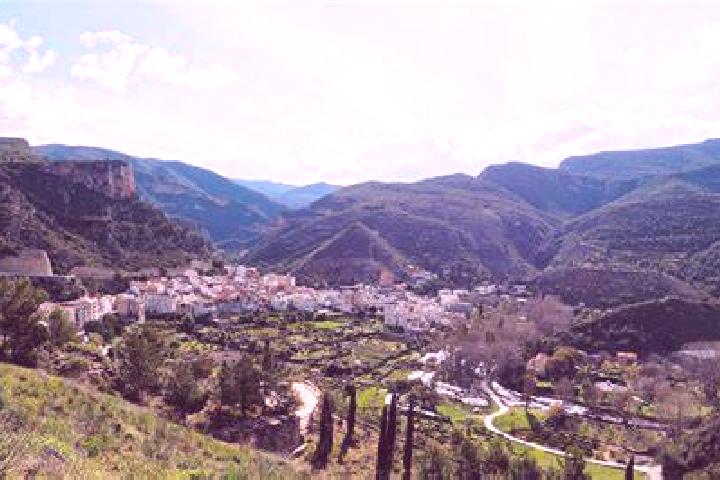 Willow, 26 — Escort in Sot de Chera, Spain