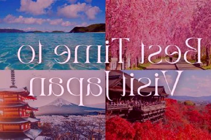 Willow, 26 — Escort in Toda, Japan