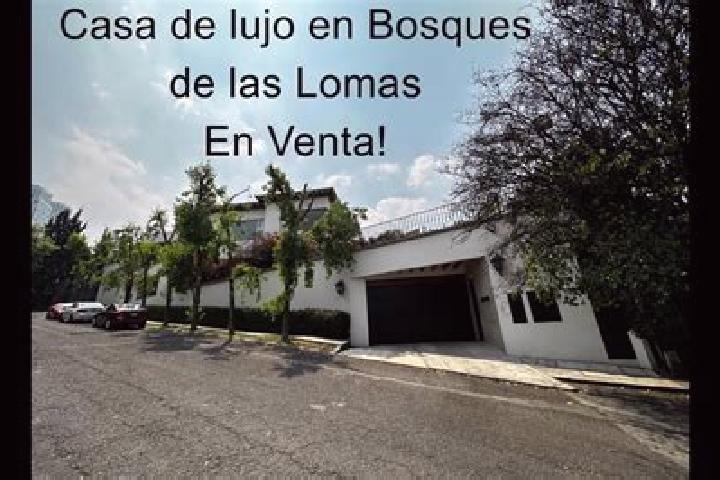 Willow, 26 — Escort in Villas de las Lomas, Mexico