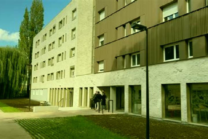 Willow, 26 — Escort in Villeneuve-d Ascq, France