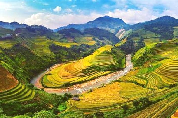 Willow, 26 — Escort in Yen Bai, Vietnam