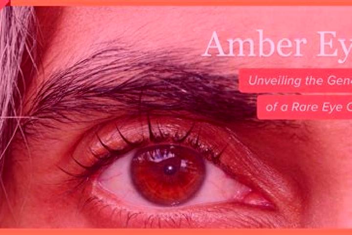 Willow, 27, a red amber-eyed caribbean companion based in Laranjal Paulista. Offering Roleplay, GFE, Couples. Available for incall and outcall, overnight boo...