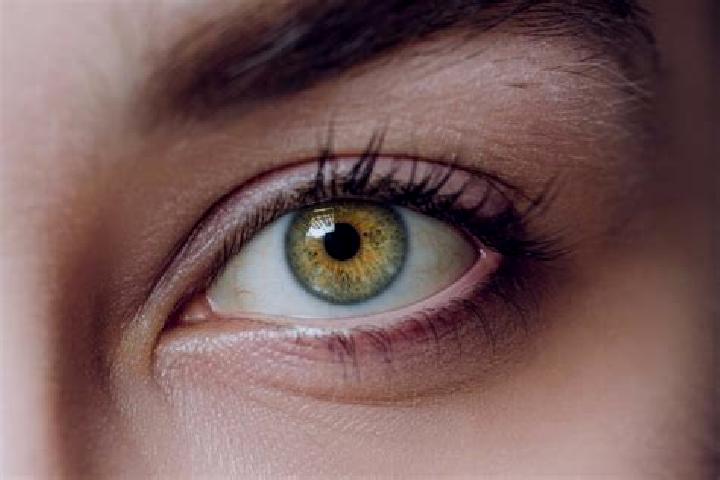 Willow, 27, a red hazel-eyed mixed companion based in Sibari. Offering Massage, GFE, Fetish, Roleplay, Dinner Date. Available for incall and outcall, day and...