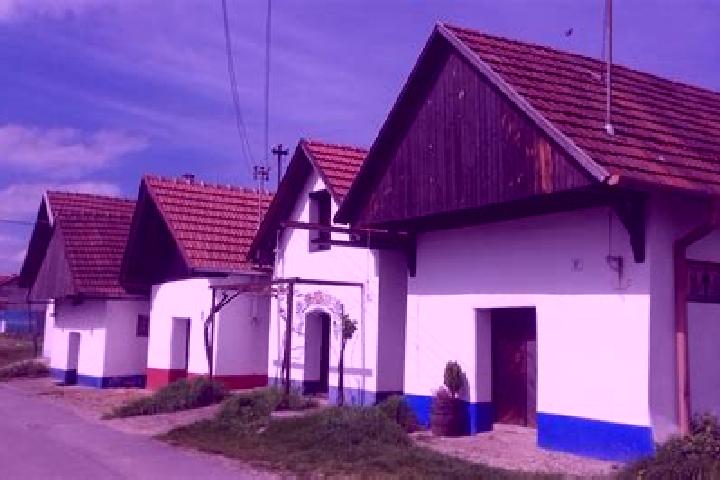 Willow, 27 — Escort in Blatnice pod Svatym Antoninkem, Czech Republic