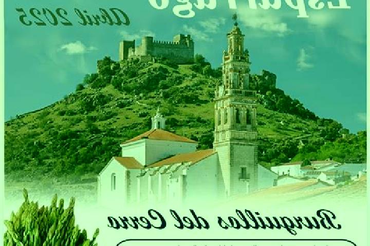 Willow, 27 — Escort in Burguillos, Spain