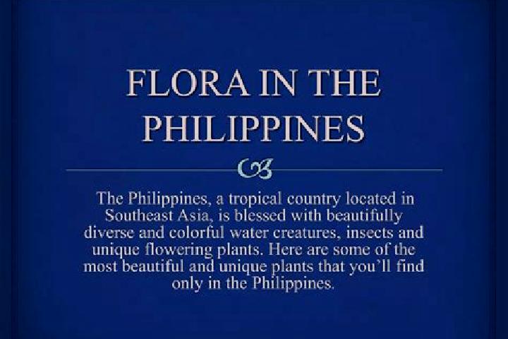 Willow, 27 — Escort in Camp Flora, Philippines