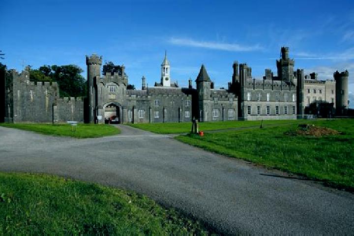 Willow, 27 — Escort in Castlepollard, Ireland