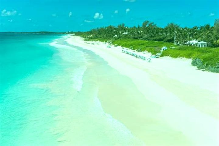 Willow, 27 — Escort in Dunmore Town, Bahamas