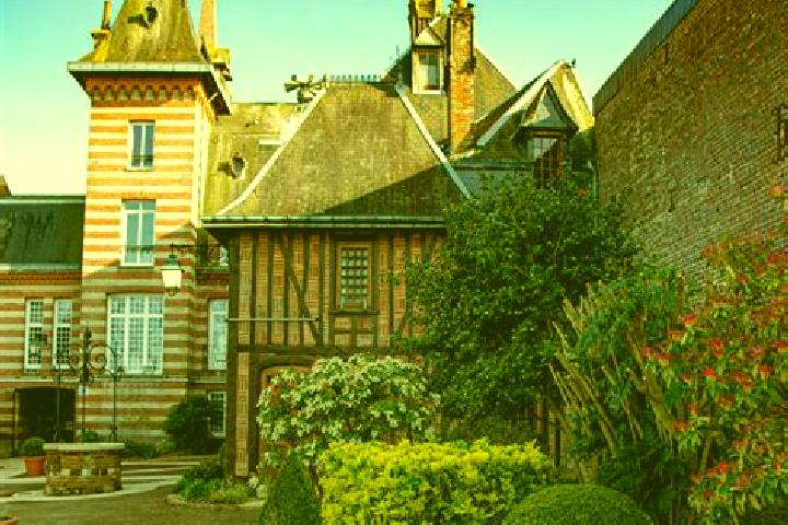 Willow, 27 — Escort in Forges-les-Eaux, France