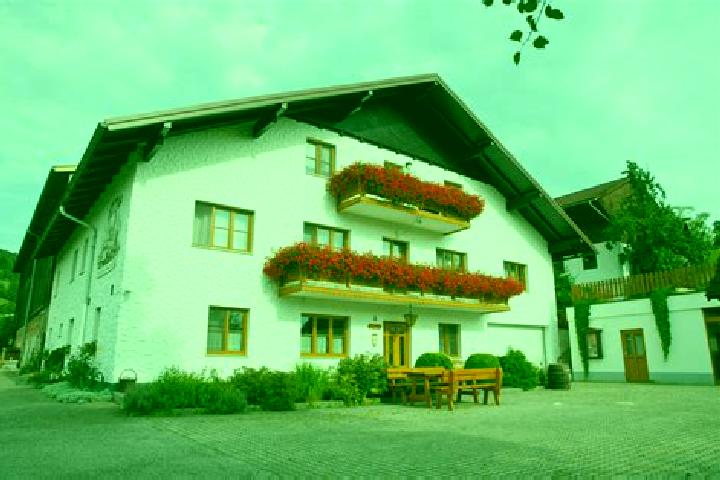 Willow, 27 — Escort in Frankenfels, Austria