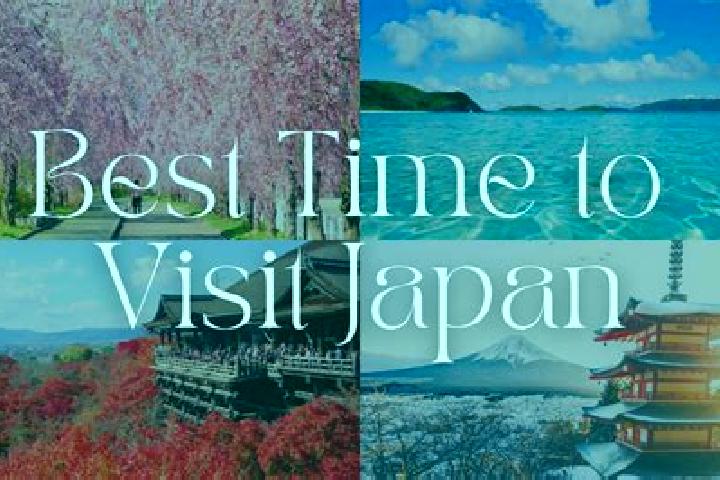 Willow, 27 — Escort in Funagoshi, Japan