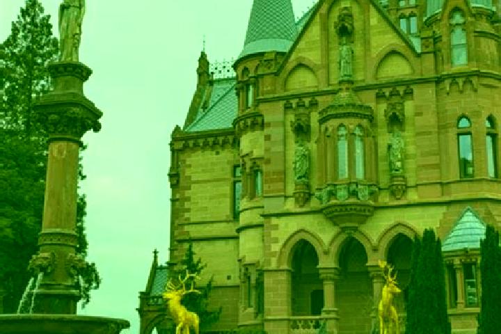 Willow, 27 — Escort in Koenigswinter, Germany