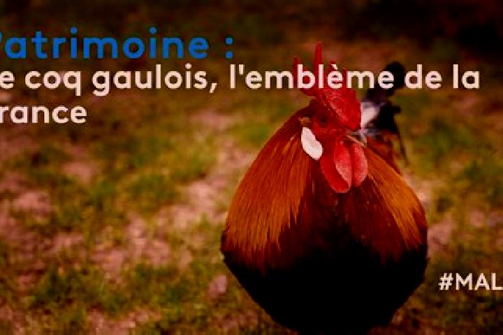 Willow, 27 — Escort in Landes-le-Gaulois, France