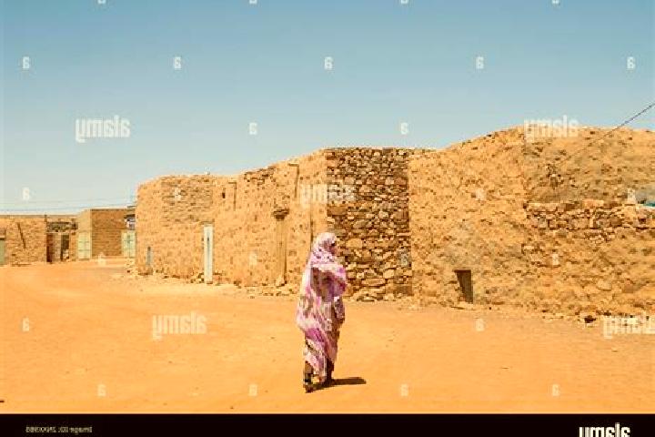 Willow, 27 — Escort in Ouadane, Mauritania